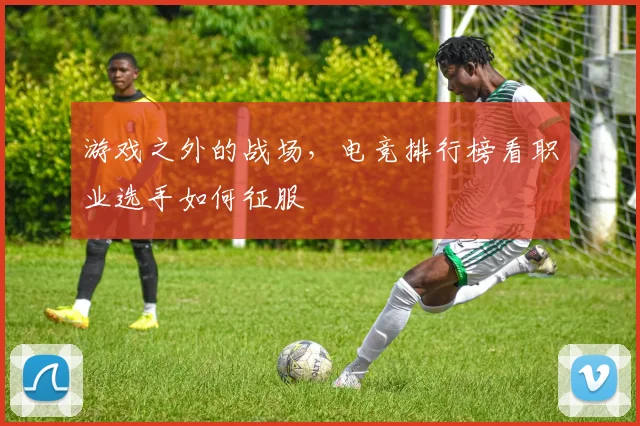 游戏之外的战场，电竞排行榜看职业选手如何征服